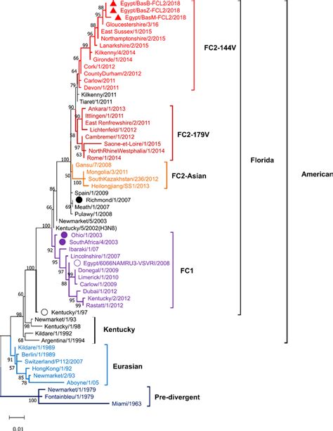 Midpoint Rooted Phylogenetic Tree Of The Eiv H3n8 Hemagglutinin 1 Ha1