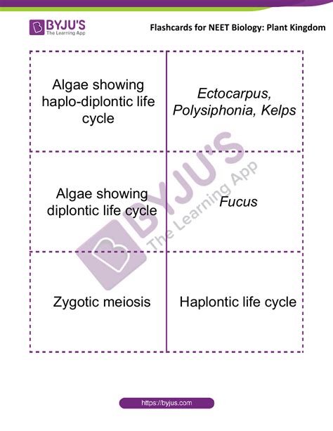 Neet Biology Flashcards Plant Kingdom Download Printable Pdf