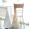 Amazon Tableclothsfactory Set Nude Premium Designer Curly Willow Chiffon Chair Sashes For