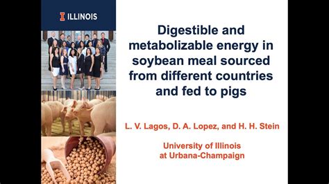 Digestible And Metabolizable Energy In Soybean Meal Sourced From