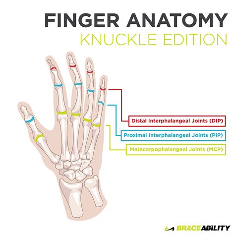 Distal Interphalangeal Joint Dip Pain Symptoms And 41 Off