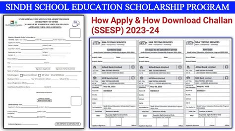 How To Apply For Sindh School Education Scholarship Program 2023