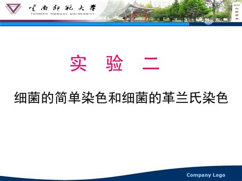 实验二、细菌的简单染色和细菌的革兰氏染色word文档在线阅读与下载无忧文档