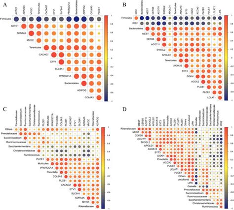 Full Article Effect Of Heat Stress On Growth Performance Carcase