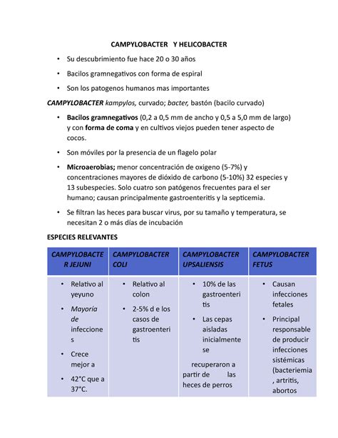 Campylobacter Y Helicobacter Campylobacter Y Helicobacter Su