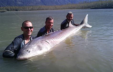 Oliver's Sportfishing Adventures (2025) - All You Need to Know BEFORE ... 