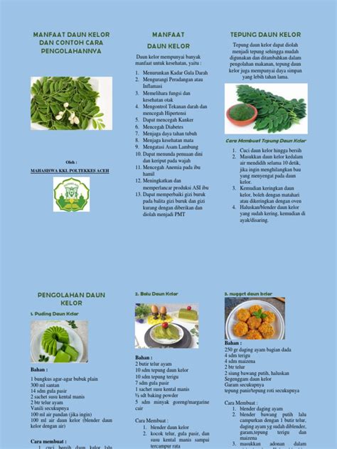 Leaflet Daun Kelor Pdf