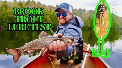 Backcountry Lake Loaded With Brook Trout Algonquin Park Trout Fishing