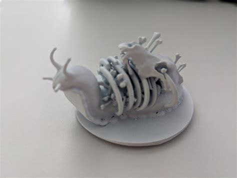 Bone Whelk Miniature Etsy