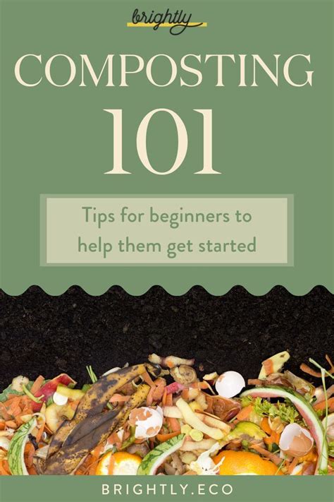 How To Start Composting At Home 7 Tips For Beginners Compost Sustainable Food How To Start