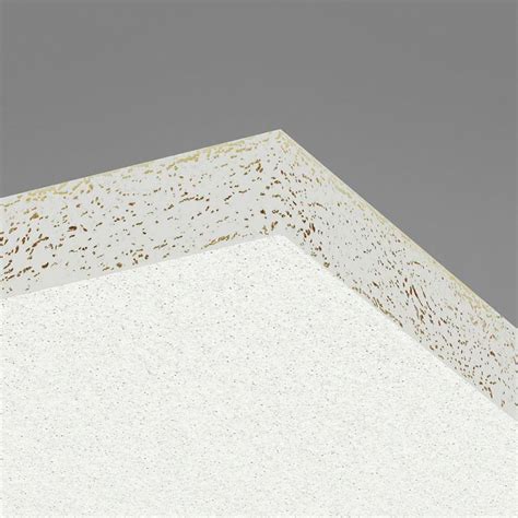 Ecophon Hygiene Performance™ A Acoustic Ceiling Tile 600 X 600 X 40mm Pack Of 20 Muffle