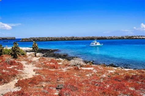 Cosa Vedere Alle Isole Galapagos Tutto Quello Che Devi Sapere