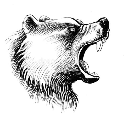 Angry Grizzly Bear Stock Illustration Illustration Of Bear 167418779