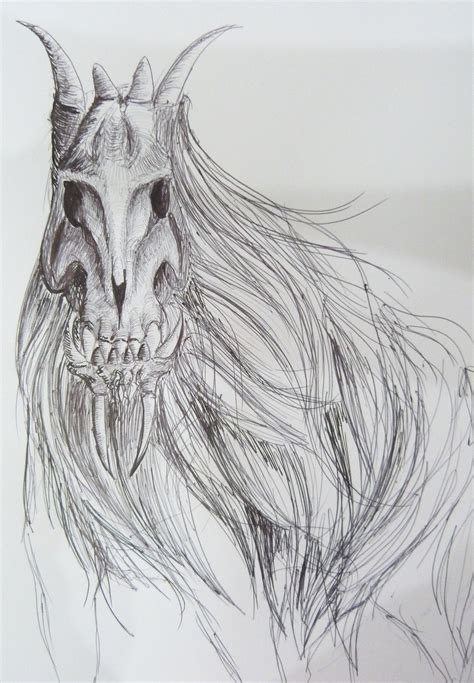 Horse Skeleton Sketch at PaintingValley.com | Explore collection of Horse Skeleton Sketch