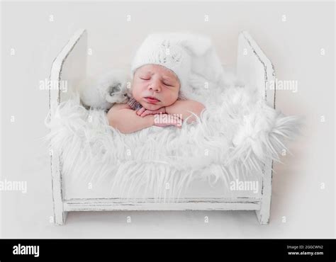 Newborn sleeping with kitten Stock Photo - Alamy