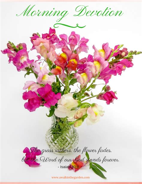 A Walk In The Garden: Morning Devotion: The Word of God Stands Forever