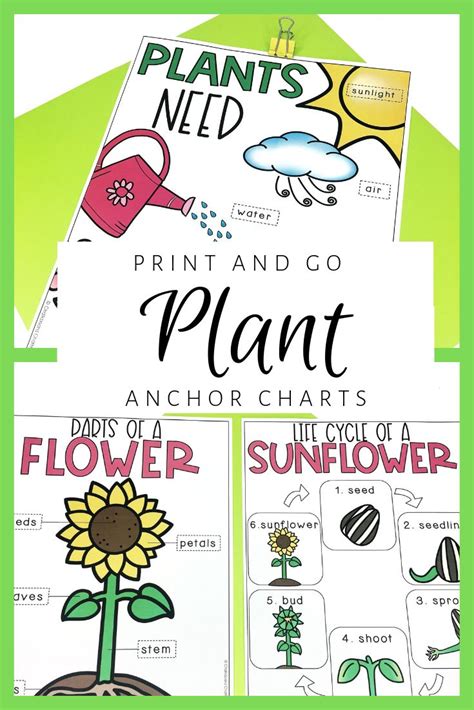 Teachers Are Always Looking For Ways To Save On Time These Print And Go Anchor Charts Are The