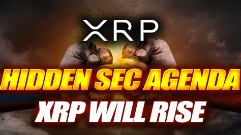 🚨sec Vs Ripple Tied To Politics🚨ripple Victory Or Settlement🚨xrp Will Rise Either Way Youtube