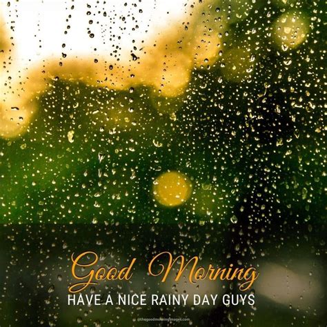 Good Morning Rainy Day, Good Morning Nature, Good Morning Happy, Good ...