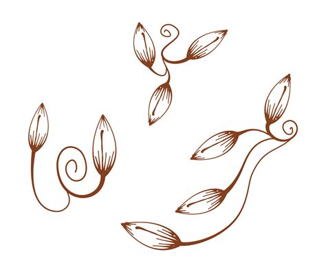 Spiral Plant Spiral Leaf Ornament Corner Element Design Border