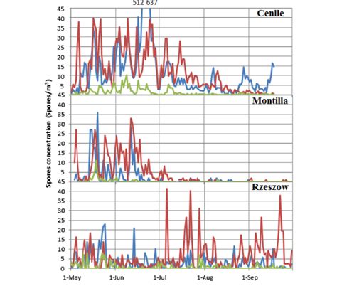 Daily Airborne Fungal Spore Concentrations During The Study Period In