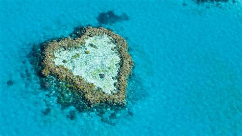 Australia's first underwater hotel to open on Great Barrier Reef - CGTN