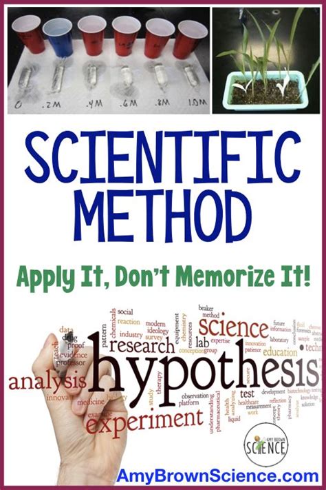 How To Teach The Scientific Method To 7th Graders Artofit