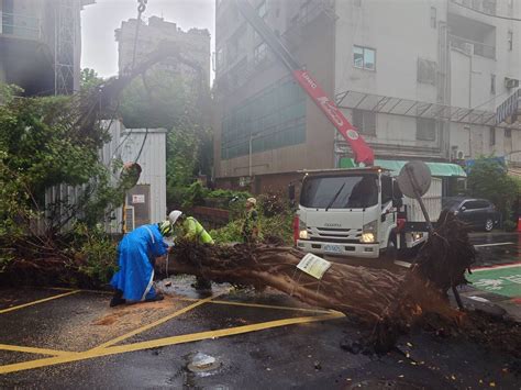 快訊／午後雷雨彈襲雙北！北市大安區「10米路樹」倒塌路中