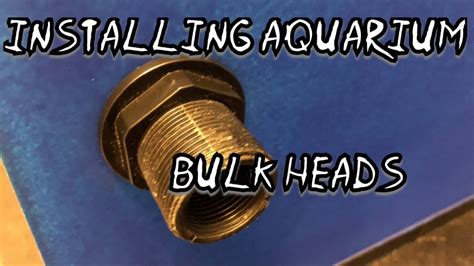 Aquarium Bulk Head Cutting And Install Youtube