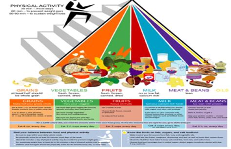 Health Assessment Exam 1 Nutritional Assessment Chapters 12 And 13