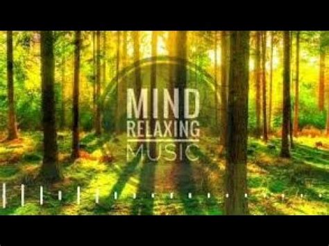 Best 3 Hour Relaxing Music Ever YouTube