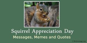 Squirrel Appreciation Day Messages, Memes and Quotes