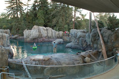 Fresno Chaffee Zoo Sea Lion Cove — Mla Engineering Consulting