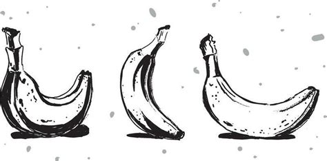 Banana Black And White Vector Art, Icons, and Graphics for Free Download