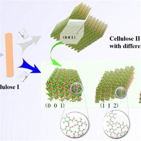 Cellulose II nanocrystals with different exposed facets. Cellulose I ...