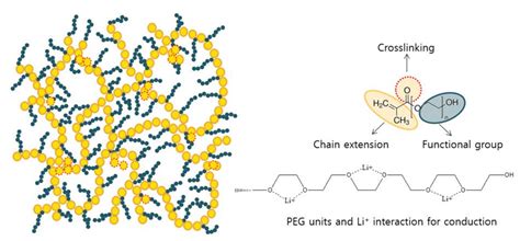 Membranes Free Full Text A Gel Polymer Electrolyte Reinforced