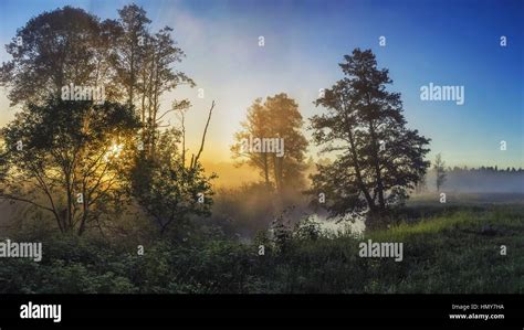 Beautiful Misty Dawn At The Small River Stock Photo Alamy