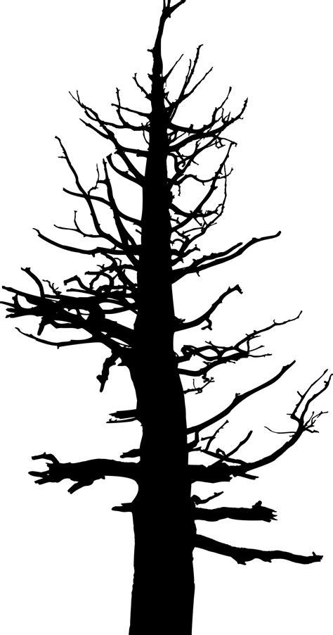 Old Dead Tree Silhouette Icons Png Free Png And Icons Downloads