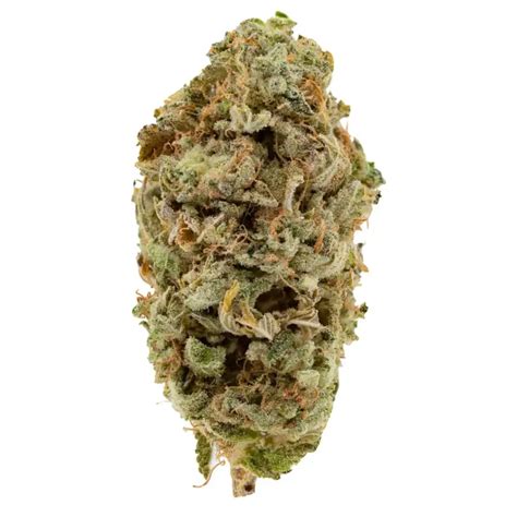 Buy Alaskan Thunder Fuck AA Online In Vancouver Gastown Medicinal