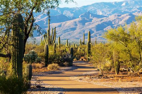 25 Best Things To Do In Tucson AZ The Crazy Tourist