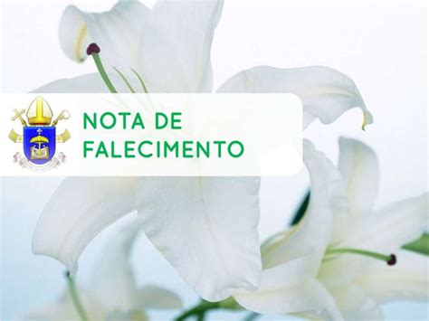 Nota De Falecimento Diocese De São Carlos