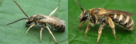 Mænd vil have sex med kvinder i alle aldre