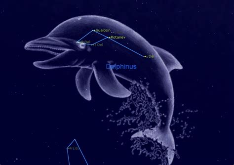 Ceulan: Delphinus Constellation