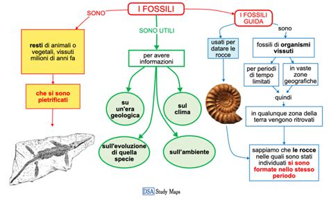 I Fossili Mappa Concettuale