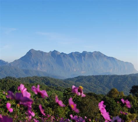 Doi Luang Chiang Dao Is The Third Highest Mountain In Thailand