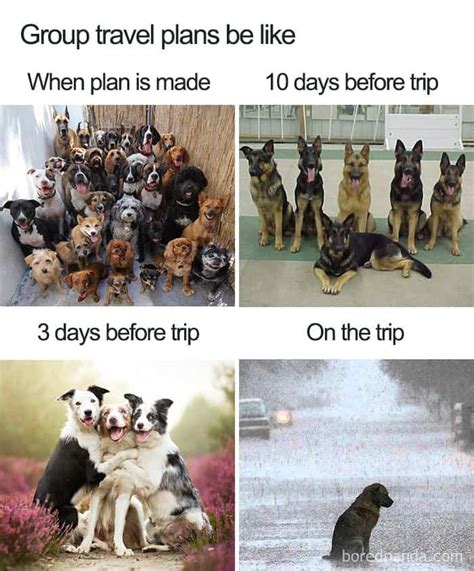 50 Best Vacation Memes That Will Make You Lol Everythingmom