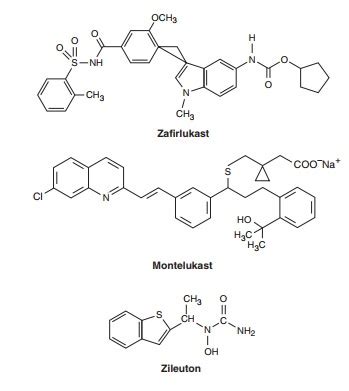 Leukotriene Pathway Inhibitors - Basic Pharmacology of Agents Used in ...