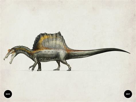 Spinosaurus Quadruped By Prophetickaiju On Deviantart