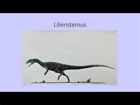 Prehistoric Facts Special #199: Liliensternus - YouTube