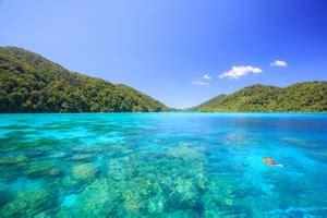 Snorkeling the Cayos Cochinos Marine Reserve - Rio Santiago Nature Resort